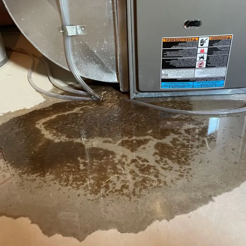 Pipe Burst and Leak Restoration in Brooks, ME