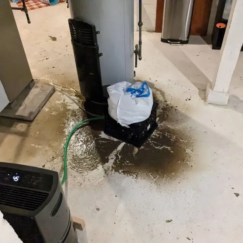 Sewage Backup Cleanup Service in Brooks, ME
